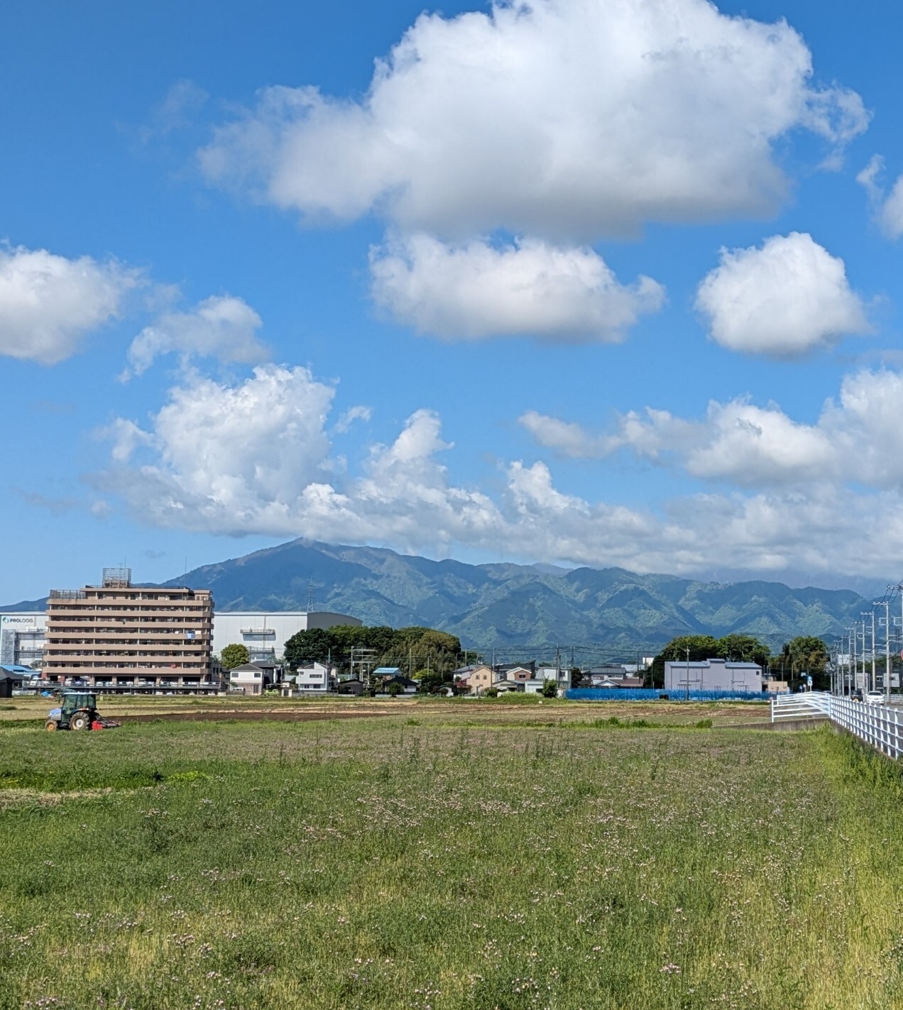 oyama